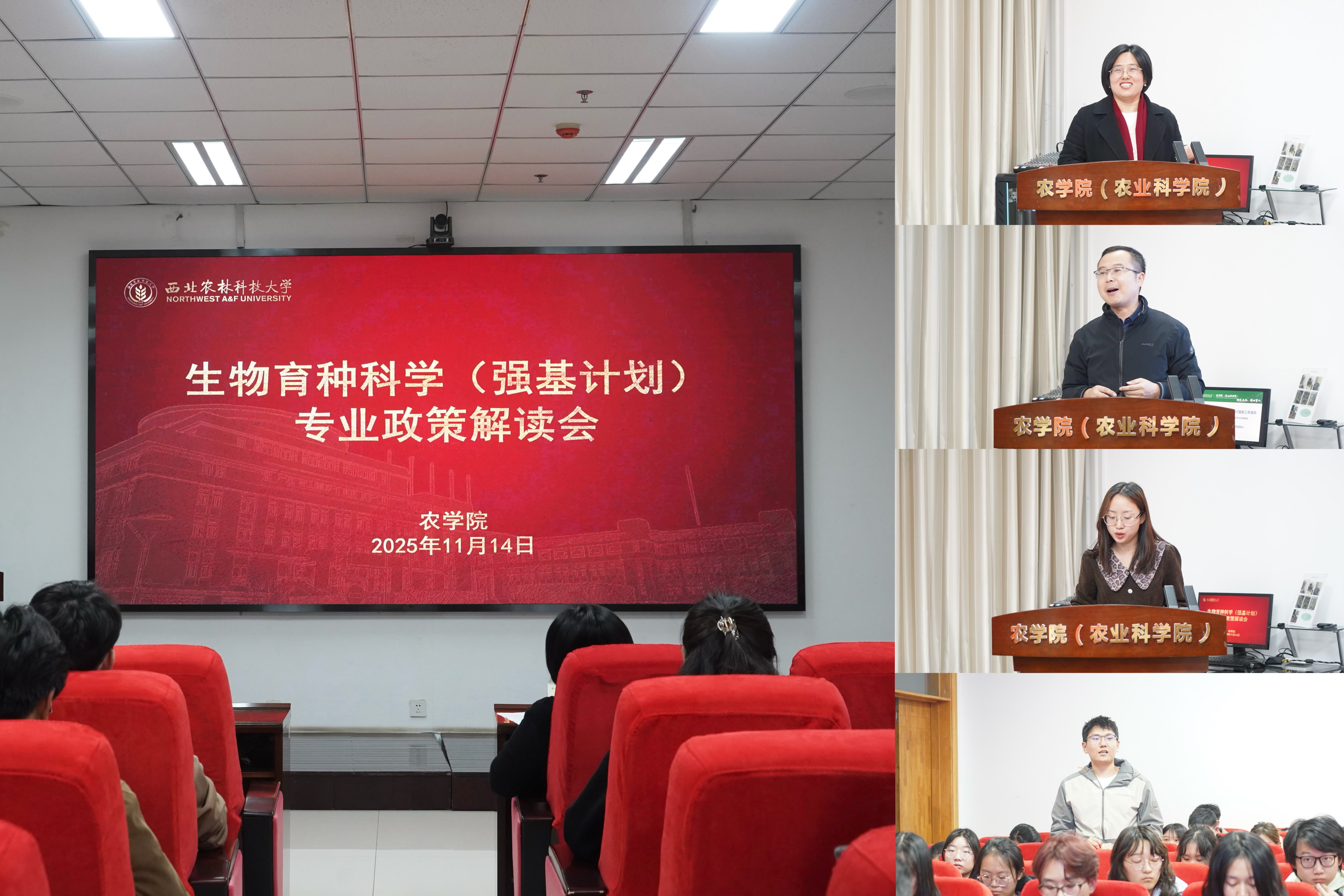 IMG_2798.JPG