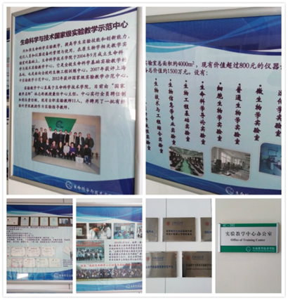 5613947302f64b20b9ec1ad869826ca0.png 2222.png