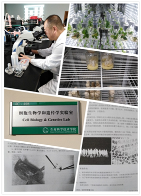 acababeb9a6f44d0ab1cb449ba7ae738.png 8888.png