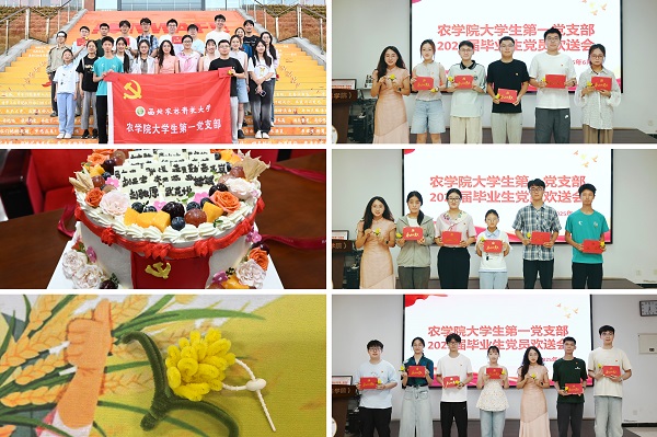 拼图-上网.jpg