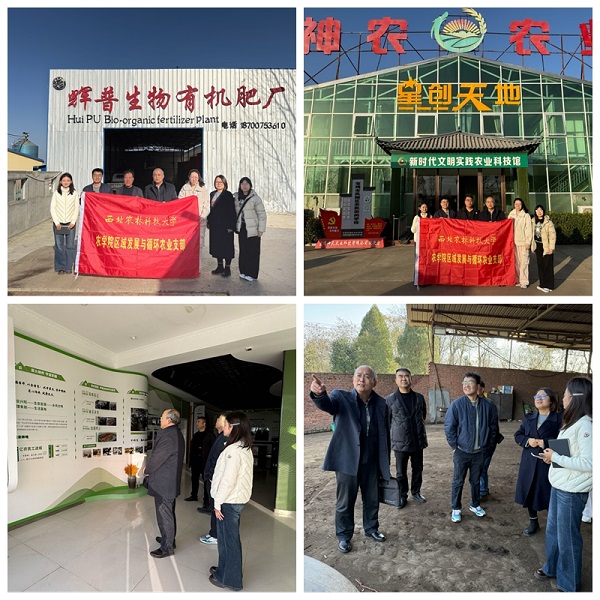 光影魔术手拼图.jpg