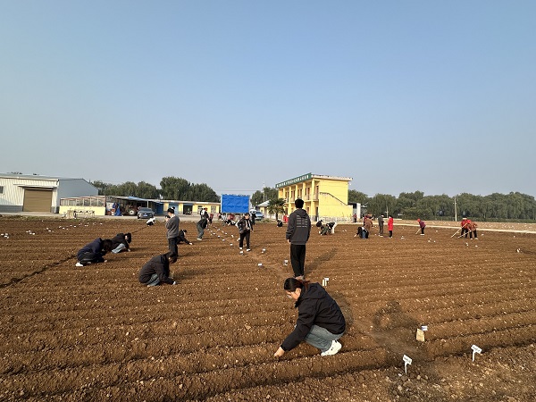 上网3.jpg
