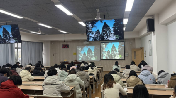植树_副本.png